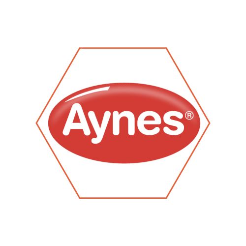 Aynes